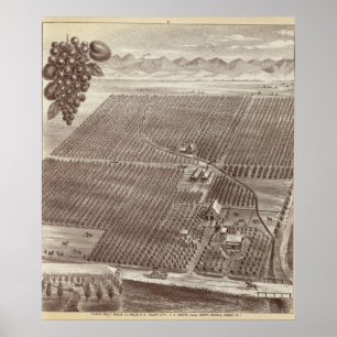 Chapin Fruit Ranch Poster