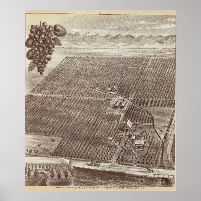 Chapin Fruit Ranch Poster (Framsidan)