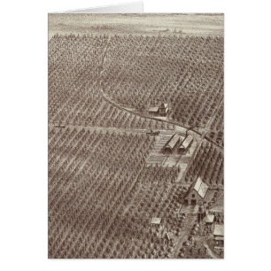 Chapin Frukt Ranch Hälsningskort