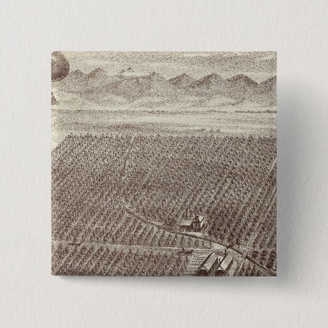 Chapin Frukt Ranch Knapp (Framsida)