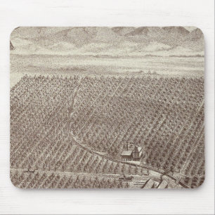 Chapin Frukt Ranch Musmatta