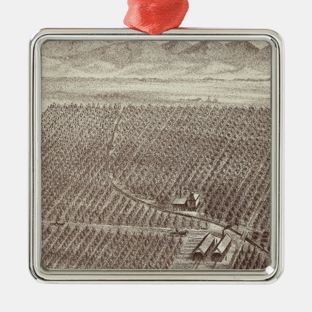 Chapin fruktranch julgransprydnad metall (Framsidan)