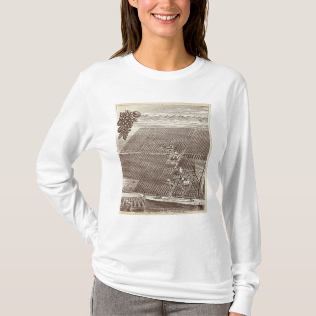 Chapin fruktranch tröja (Framsida)