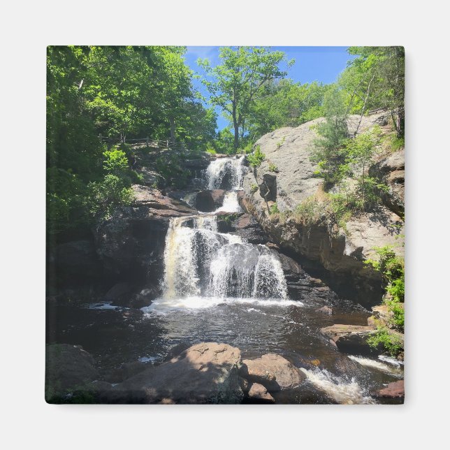 Chapman Falls Magnet (Framsidan)