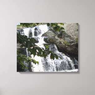 Chapman Falls Wrapped Canvas Skriv ut