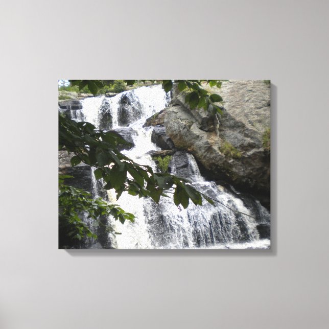 Chapman Falls Wrapped Canvas Skriv ut (Framsida)
