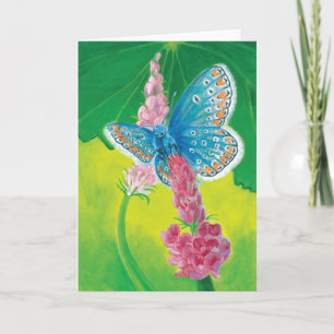 Chapmans blue butterfly (Polyommatus thersites) Kort