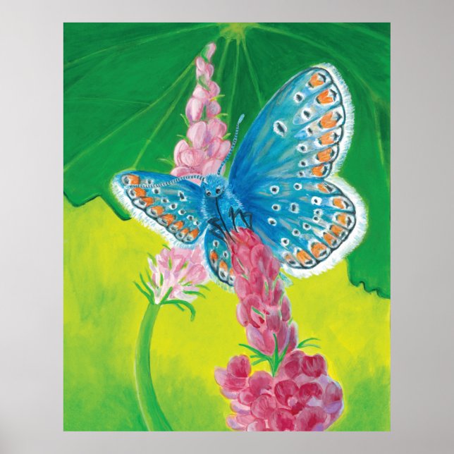 Chapmans blue butterfly (Polyommatus thersites) Poster (Framsidan)