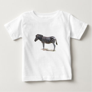 Chapmans Zebra Photo T Shirt