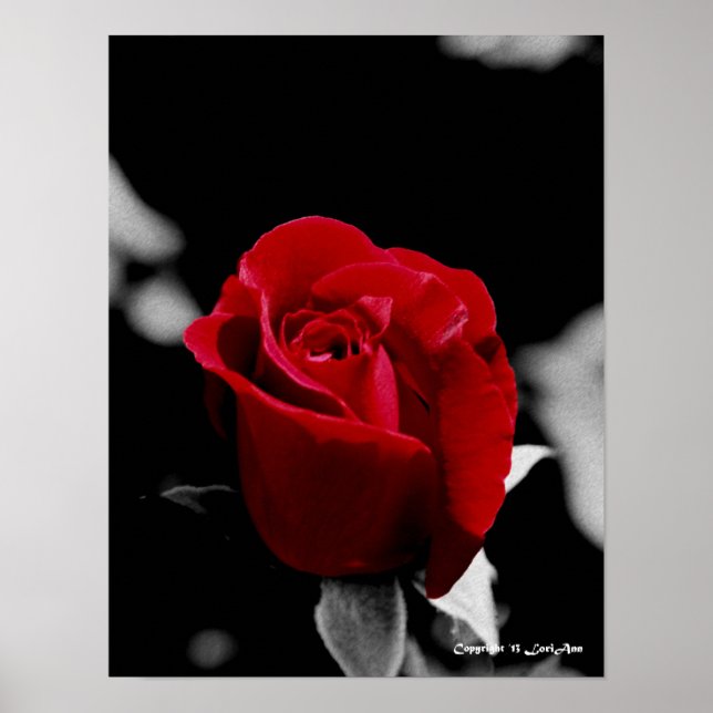 Charcol Ro Poster (Framsidan)
