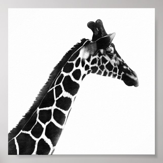 Charcol Sketch Giraffe Poster (Framsidan)