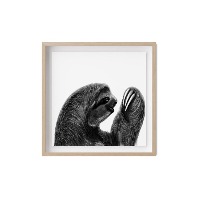 Charcol Sketch Sloth Poster (Skapare uppladdad)