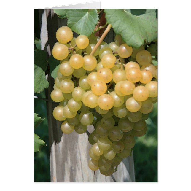 Chardonel OBS Kort (Framsidan)