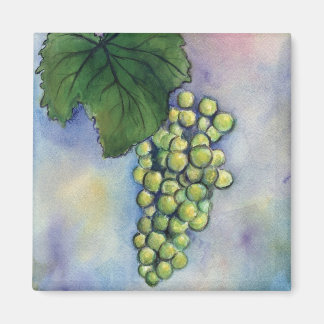 Chardonnay Vin Grapes Magnet