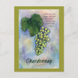 Chardonnay Vin Graps & Description Postcard Vykort