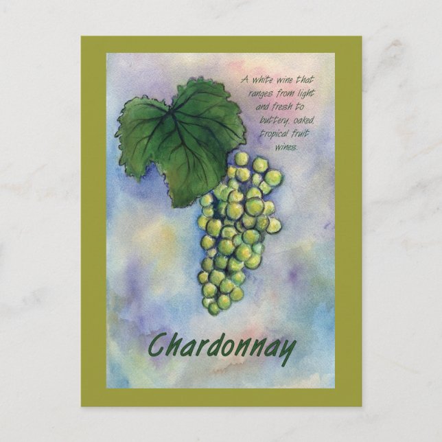 Chardonnay Vin Graps & Description Postcard Vykort (Framsida)