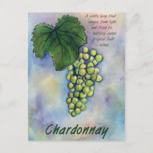 Chardonnay Vin Graps & Description Postcard Vykort