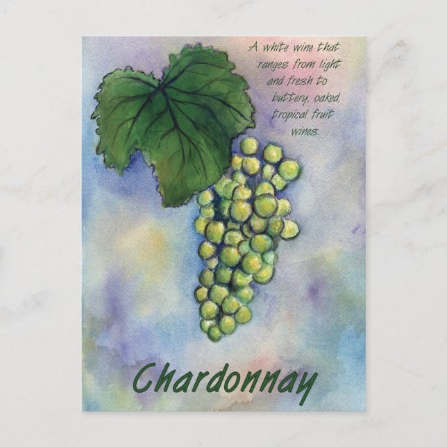 Chardonnay Vin Graps & Description Postcard Vykort (Framsida)