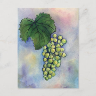 Chardonnay Vin Graps vycard Vykort