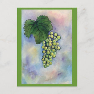 Chardonnay Vin Graps vycard Vykort