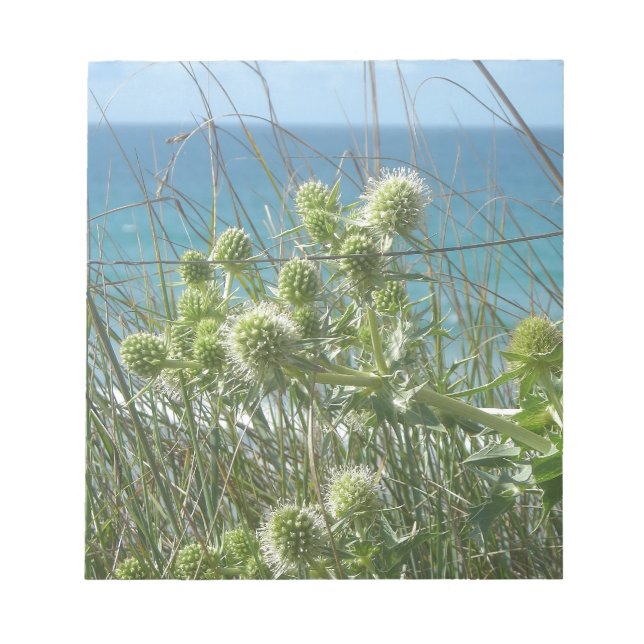 chardons anteckningsblock (Framsida)