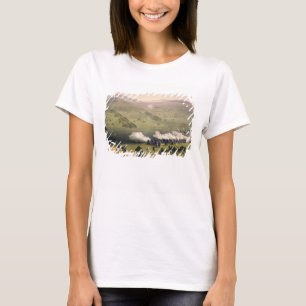 Charge of the Light Cavalry Brigade, 25 oktober Tee