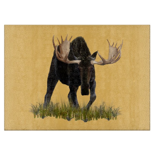 Charging Bull Moose (Framsidan)