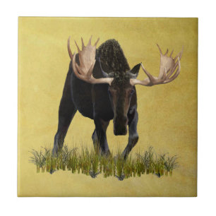 Charging Bull Moose Kakelplatta