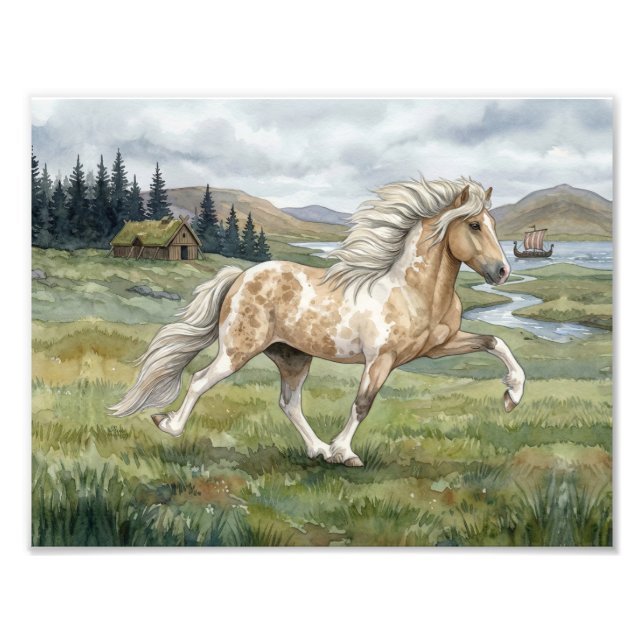 Charismatic Pinto Icelandic Mare watercolor Fototryck (Framsidan)