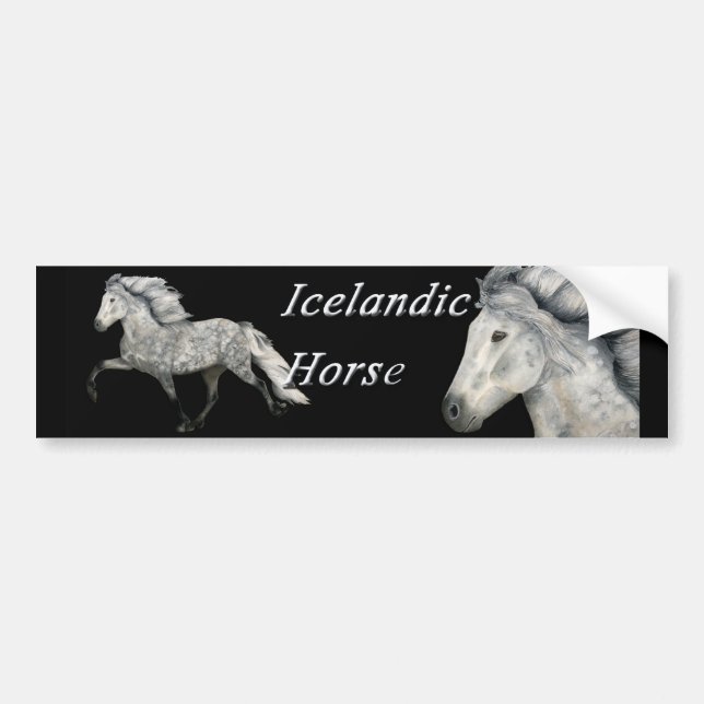 Charismatisk Bildekal (Framsidan)