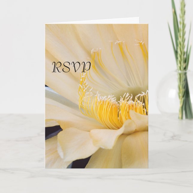 Charlemagne Echinopsis i blom RSVP Inbjudan (Framsida)