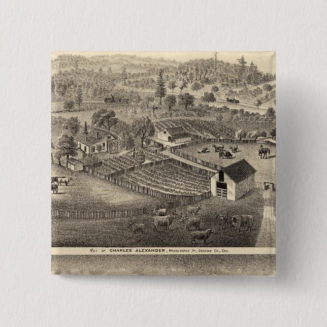 Charles Alexander bosättning Knapp (Framsida)