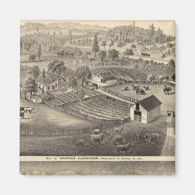 Charles Alexanders hemvist Magnet (Framsidan)