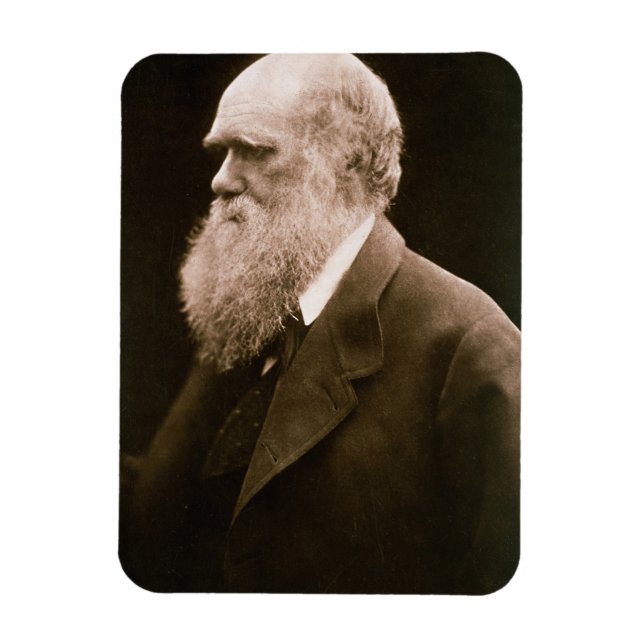 Charles Darwin (1809-82) (bild) Magnet (Vertikal)
