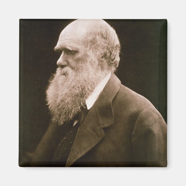 Charles Darwin (1809-82) (bild) Magnet (Framsidan)