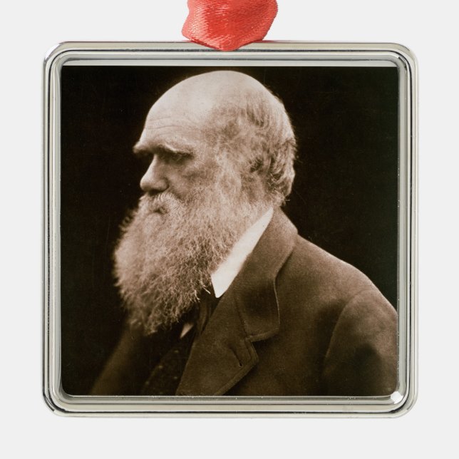 Charles Darwin (1809-82) (fotoet) Julgransprydnad Metall (Framsidan)