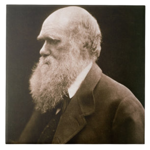 Charles Darwin (1809-82) (fotoet) Kakelplatta