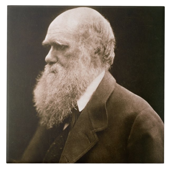 Charles Darwin (1809-82) (fotoet) Kakelplatta (Framsidan)