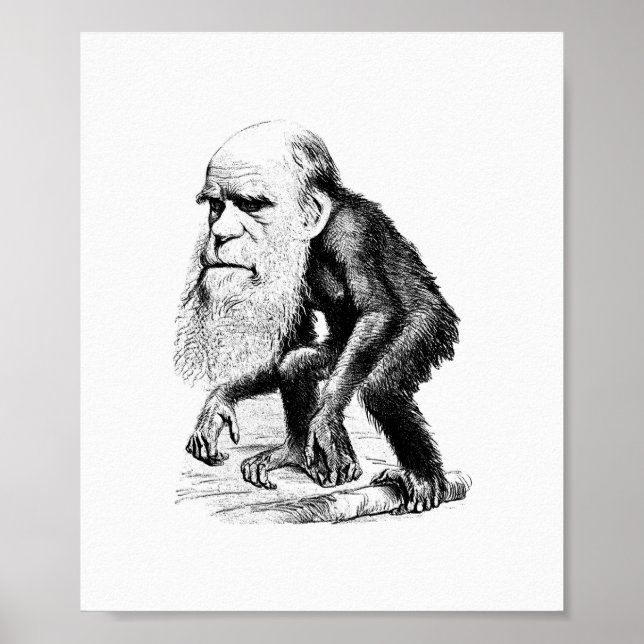 Charles Darwin as An Ape Poster (Framsidan)