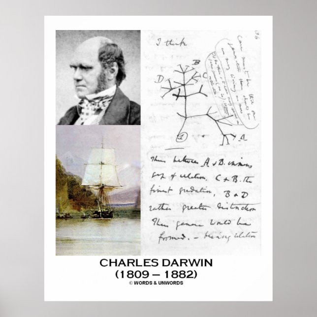 Charles Darwin Collage HMS Beagle Evolution Poster (Framsidan)