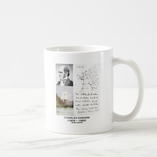 Charles Darwin (Darwin HMS Beagle Phylogenetics) Kaffemugg (Höger)