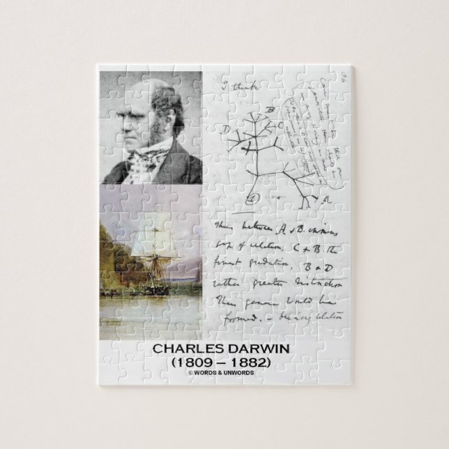 Charles Darwin (Darwin HMS Beagle Phylogenetics) Pussel (Vertikal)