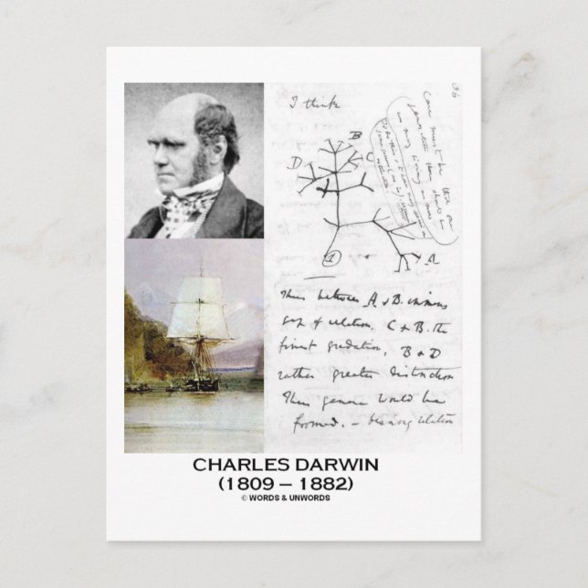 Charles Darwin (Darwin HMS Beagle Phylogenetics) Vykort (Framsida)