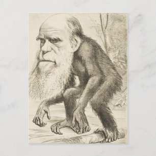 Charles Darwin Original Illustration Vykort