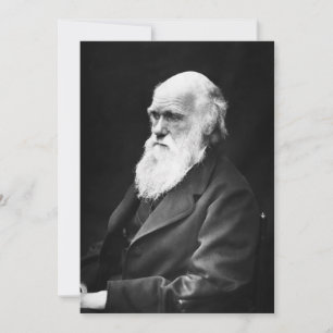 Charles Darwin Porträtt