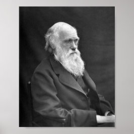 Charles Darwin Porträtt - 1874 Poster