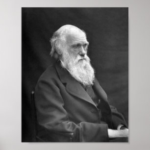 Charles Darwin Porträtt - 1874 Poster