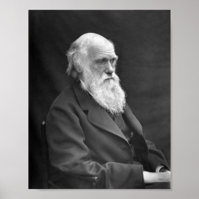 Charles Darwin Porträtt - 1874 Poster (Framsidan)