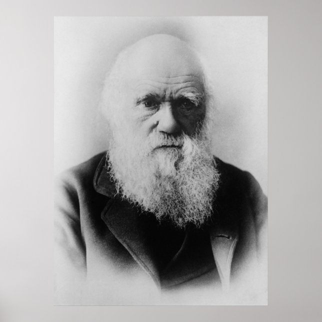 Charles Darwin Porträtt av Elliott och Fry Poster (Framsidan)