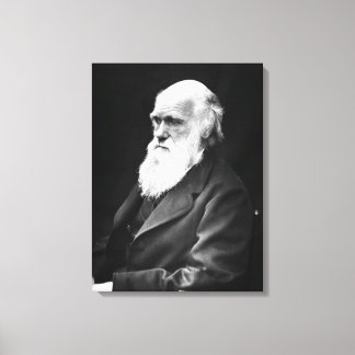 Charles Darwin Porträtt Canvastryck